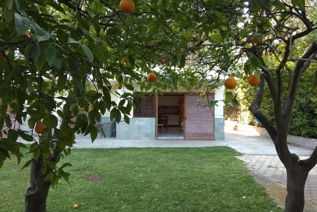 Electra Apartment In Epidaurus Exterior photo